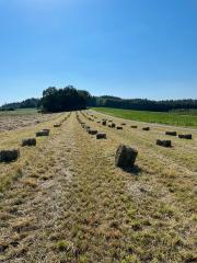 Hd Ballen heuballen Ernte 24 Hasen Meerschweinchen