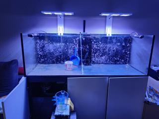 Meerwasseraquarium 750l