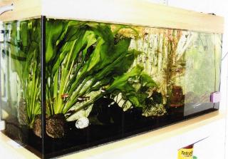 Schönes Aquarium 120cm - 50cm - 40cm VB 450 Euro