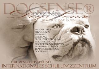 DogSense - Hundezubehör, individuell und exklusiv