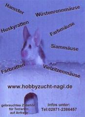 Futteriere, Mäuse Ratten, Rennmäuse, Vielzitzen und Hamster