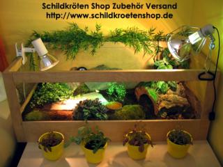 Schildkröten Shop Landschildkröten Zubehör Versand