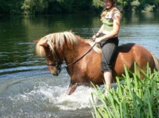 Biete RB auf Sportisländer Delmenhorst