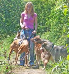 Hundebetreuung - Urlaub für Ihren Hund