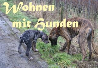 WOHNEN MIT HUNDEN DIE IMMOBILIEN FÜR DEN HUNDEFREUND