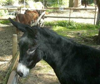 Wir brauchen dringend Hilfe