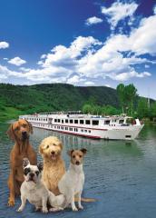 Flussreisen mit Hund