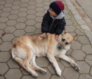 Familienfreundlicher Reiterhof wo auch Hund mit Ihren Besitzern, zum Urlaub mach