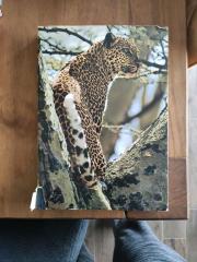 Zoo Ostafrika Buch Bilder Tierbuch