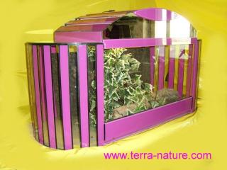 Terrarium Terrarien in vielen Formen Farben aus Glas