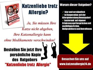 Wie Sie Ihre Katze trotz Katzenallergie behalten können.