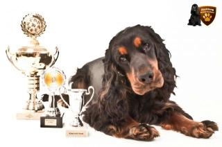 Internationale Rassenhundeausstellung des FRZ e. V Dream Dog Cup Sieger 2021