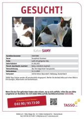 Kater Samy vermisst