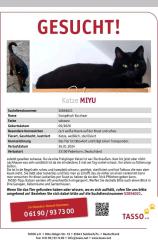 Schwarze Katze Miyu vermisst 33100 Paderborn