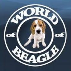 World-of-Beagle. de - Das kostenlose Beagleforum für Herrchen und Frauchen.