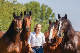 Tierosteopathie, Tierphysiotherapie, Tierakupunktur