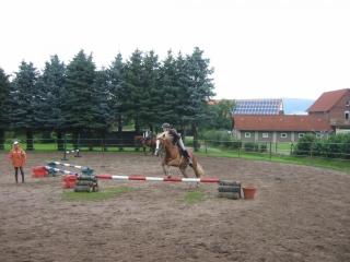 Suche RB Pferd/Pony