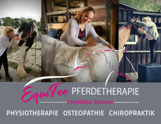 Osteopathie, Physiotherapie Chiropraktik für Pferde