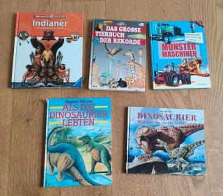 Buch Bücher Dinosaurier Monstermaschine Tierbuch Indianer