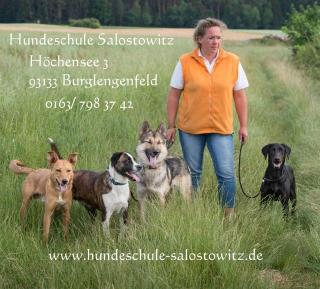 Jagdhundeausbildung Salostowitz